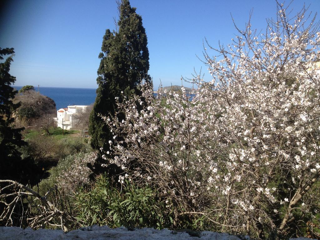 Apartment Alkyonis *